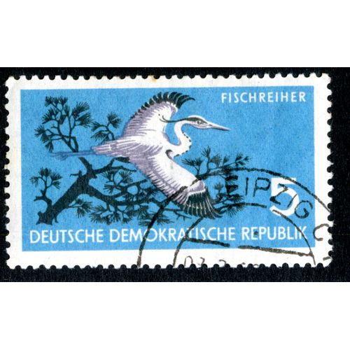 Timbre Oblitéré Deutsche Demokratische Republik, Fischreiher , 5