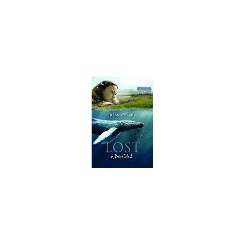 Lost On Brier Island