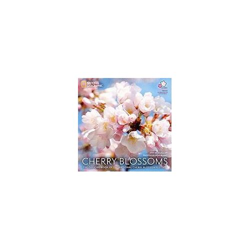 Cherry Blossoms