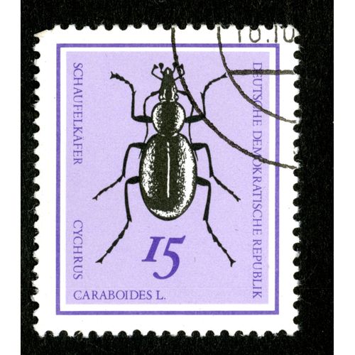 Timbre Oblitéré Deutsche Demokratische Republik, Schaufelkäfer, Cychrus Caraboides L. , 15