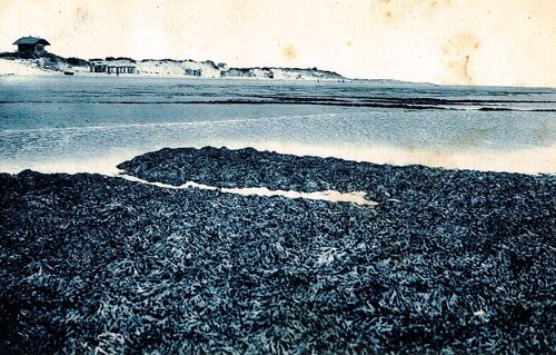 Carte Postale, France, Charente Maritime ( 17 ), La Couarde ( Ile De Ré ), La Plage