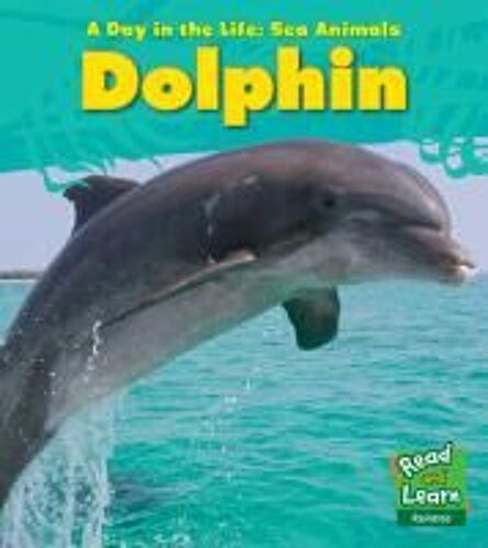 Spilsbury, L: Dolphin