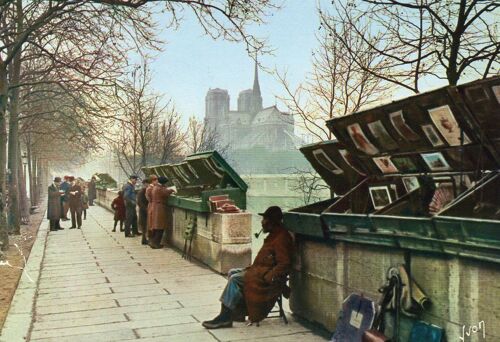 Carte Postale Couleur - 75 - Paris Les Bouquinistes Et Vue De Notre Dame De Paris - Carte Ecrite Des Editions Yvon