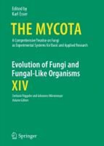 Evolution Of Fungi And Fungal-Like Organisms