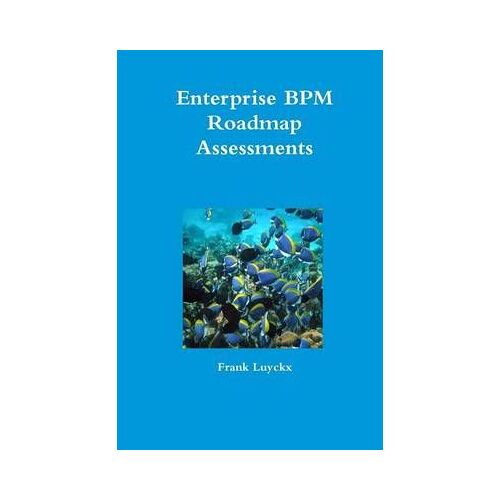 Enterprise Bpm Roadmap Assessments