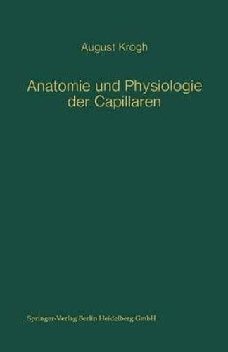 Anatomie Und Physiologie Der Capillaren