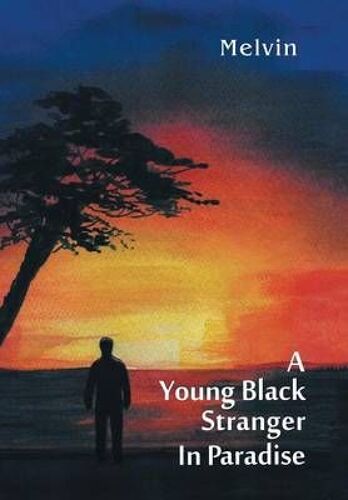 A Young Black Stranger In Paradise