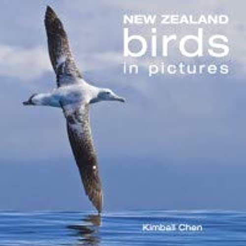 New Zealand Birds In Pictures