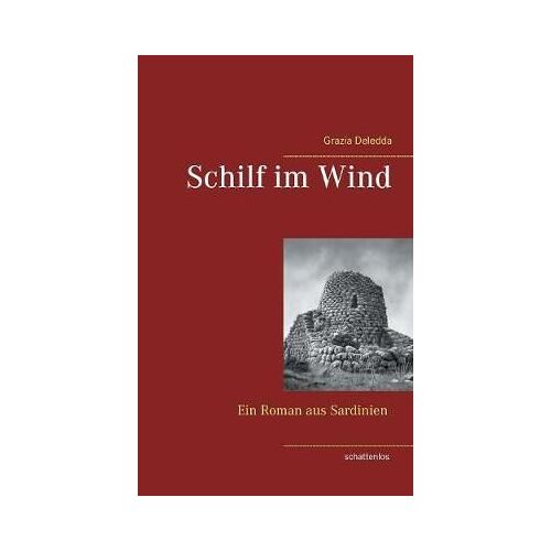 Schilf Im Wind