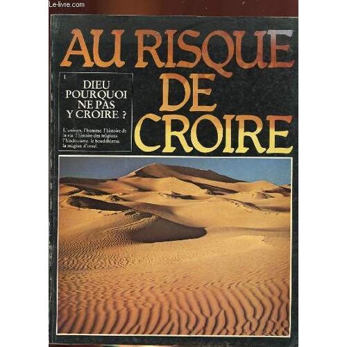 Au Risque De Croire, Tome 1 : Dieu, Pourquoi Y Croire ?