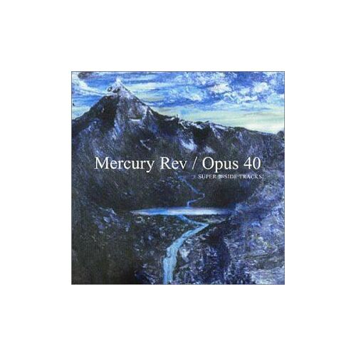 Opus 40
