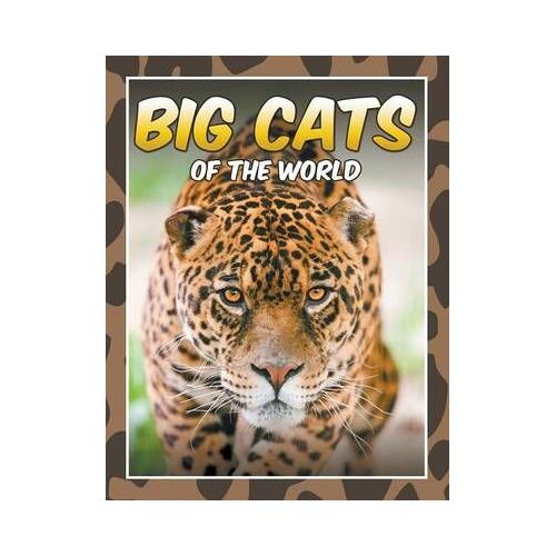 Big Cats Of The World