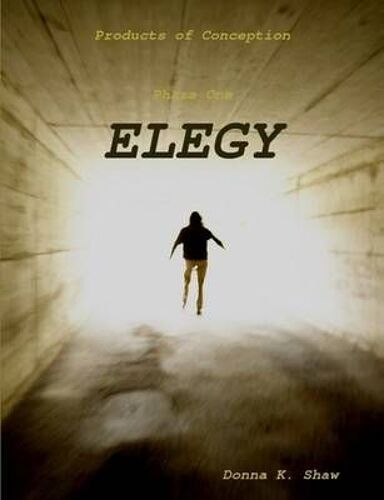 Products Of Conception Part One Ellegy