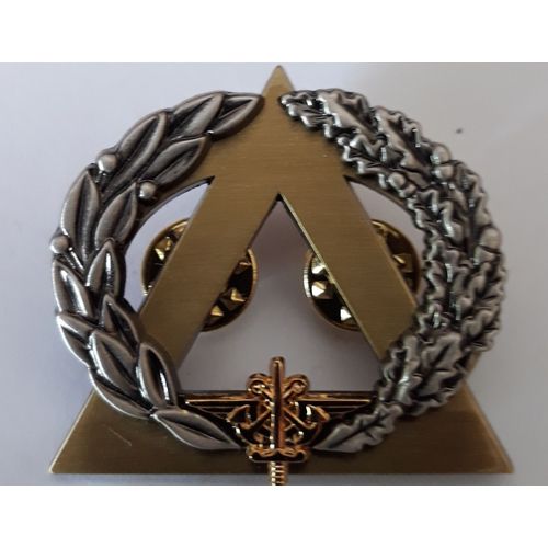 Brevet De Secourisme Instructeur Or