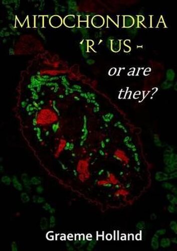 Mitochondria 'r' Us - Or Are They?