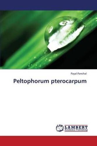 Peltophorum Pterocarpum