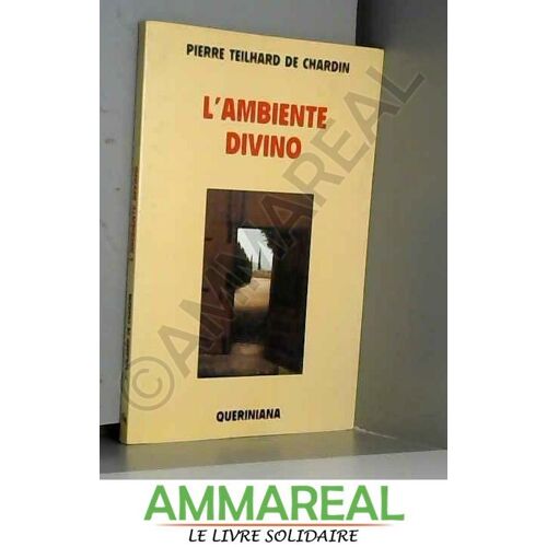 L'ambiente Divino. Saggio Di Vita Interiore