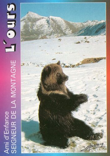 L' Ours Ami D'enfance Seigneur De La Montagne - Photo J. Masson