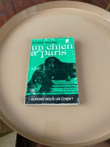 Un Chien A Paris