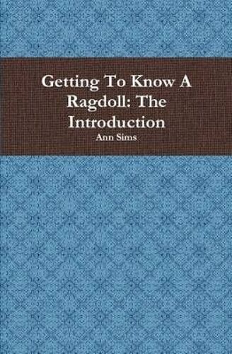 Getting To Know A Ragdoll