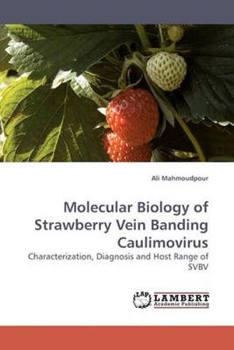 Molecular Biology Of Strawberry Vein Banding Caulimovirus