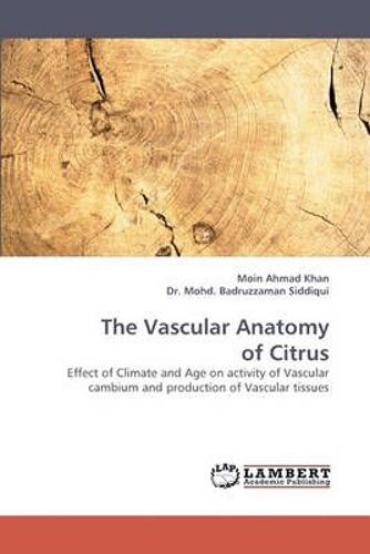 The Vascular Anatomy Of Citrus