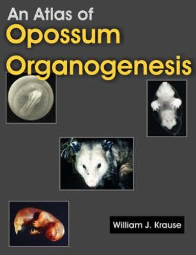An Atlas Of Opossum Organogenesis