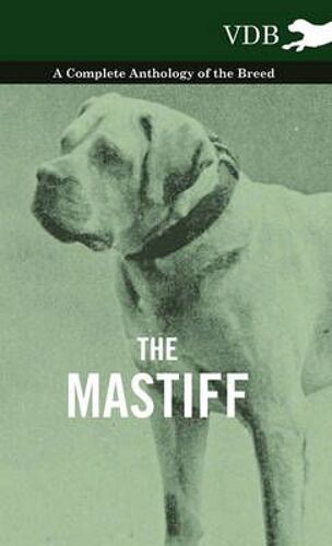 The Mastiff - A Complete Anthology Of The Breed