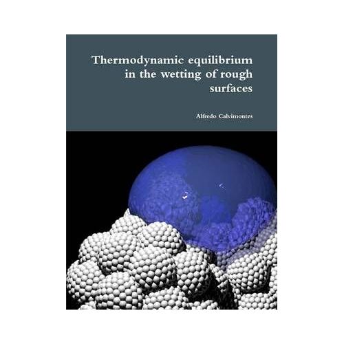 Thermodynamic Equilibrium In The Wetting Of Rough Surfaces