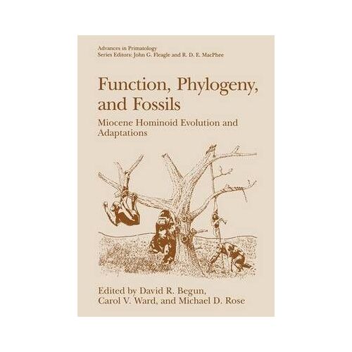 Function, Phylogeny, And Fossils
