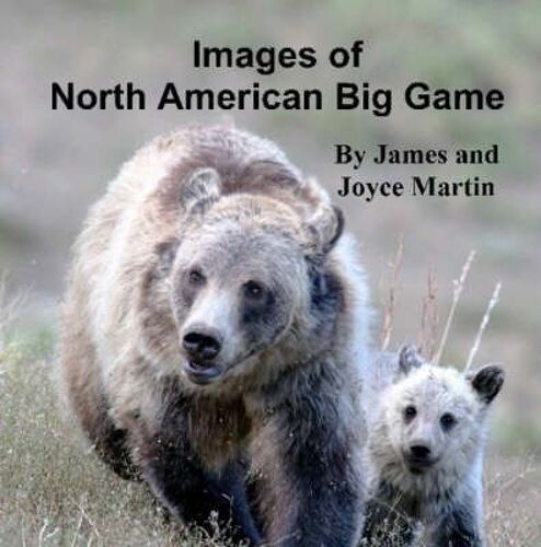 Images Of North American Big Game