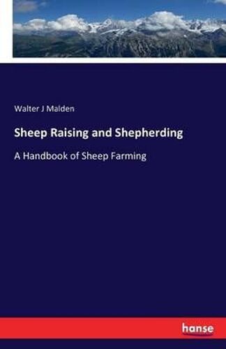 Sheep Raising And Shepherding