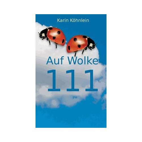 Auf Wolke 111