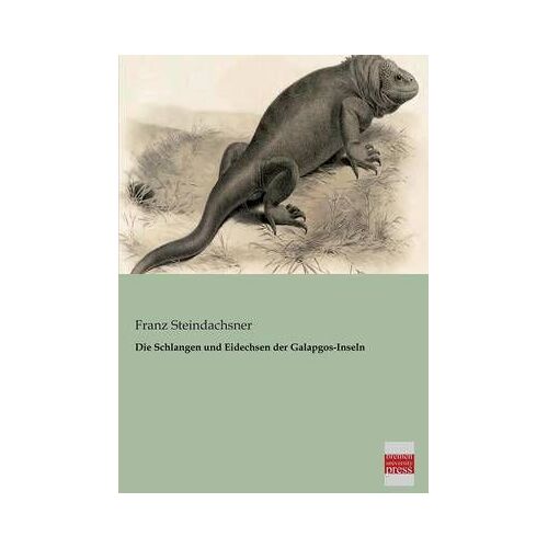 Die Schlangen Und Eidechsen Der Galapgos-Inseln