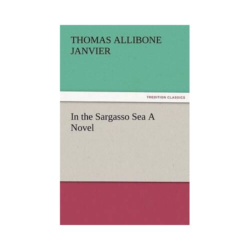 In The Sargasso Sea A Novel