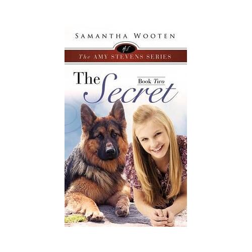 The Amy Stevens Series The Secret Book Two