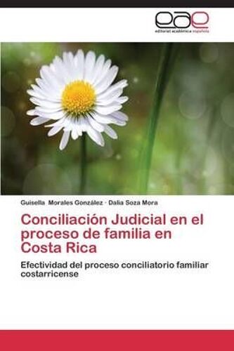 Conciliación Judicial En El Proceso De Familia En Costa Rica