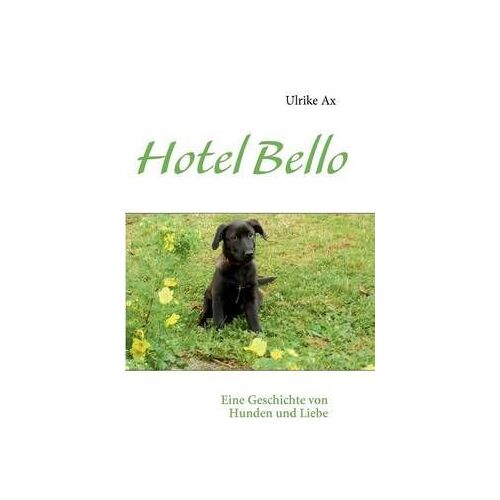 Hotel Bello