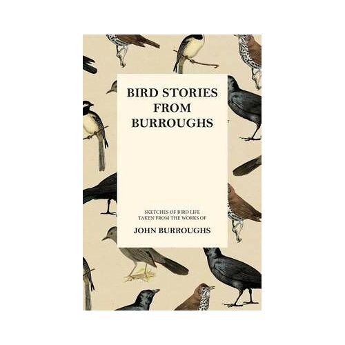 Bird Stories From Burroughs - Sketches Of Bird Life Taken From The Works Of John Burroughs