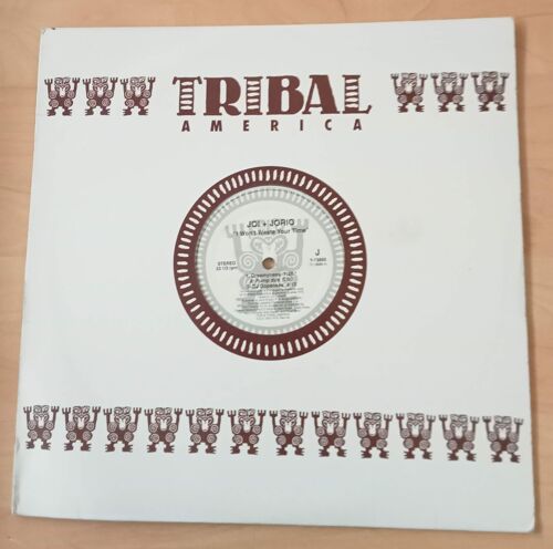 I Won't Waste Your Time - Maxi 45 Tours ( Joi + Jorio )