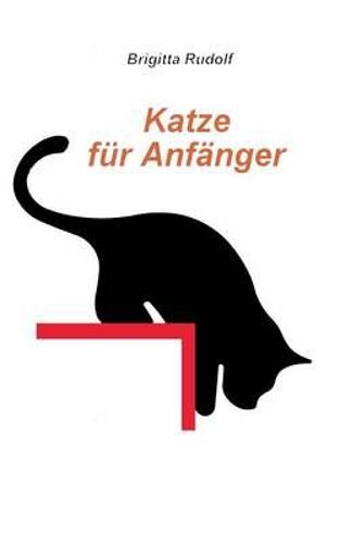 Katze Für Anfänger