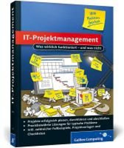 It-Projektmanagement