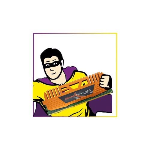 2Go RAM GEIL ENHANCE CORSA GEC34GB1333C9DC PC3-10660 DDR3 1333Mhz CL9 1.5V