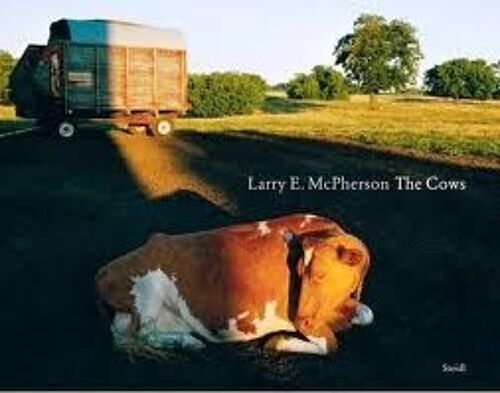 The Cows