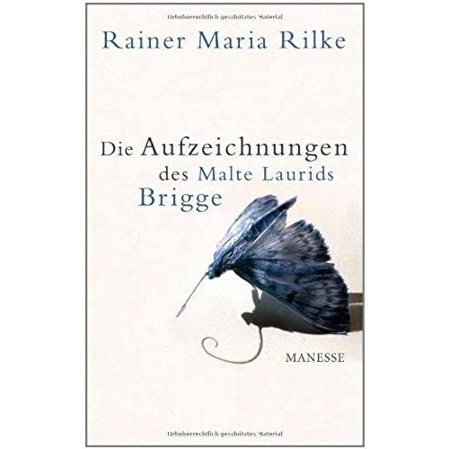Die Aufzeichnungen Des Malte Laurids Brigge