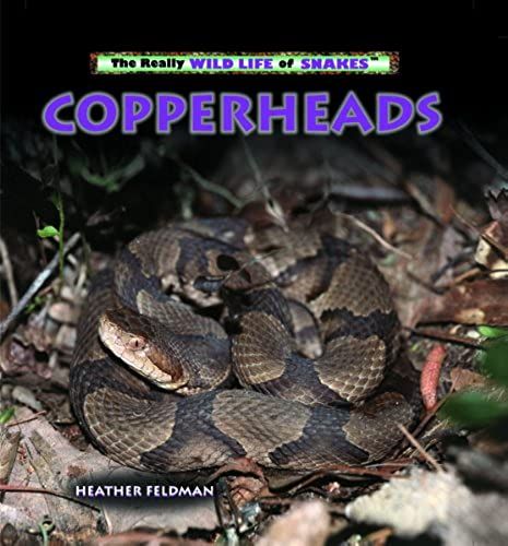 Copperheads (The Really Wild Life Of Snakes)