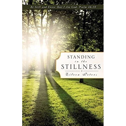 Standing In The Stillness