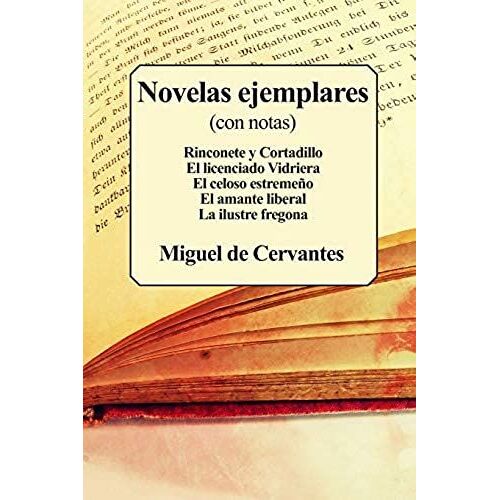 Novelas Ejemplares: (Con Notas)