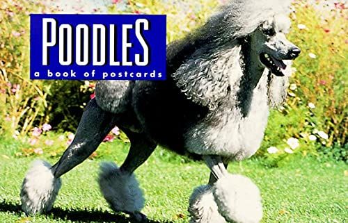 Poodles: A Book Of Postcards