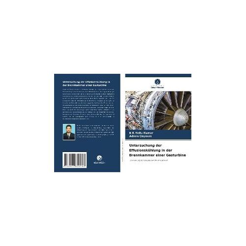 Untersuchung Der Effusionskühlung In Der Brennkammer Einer Gasturbine